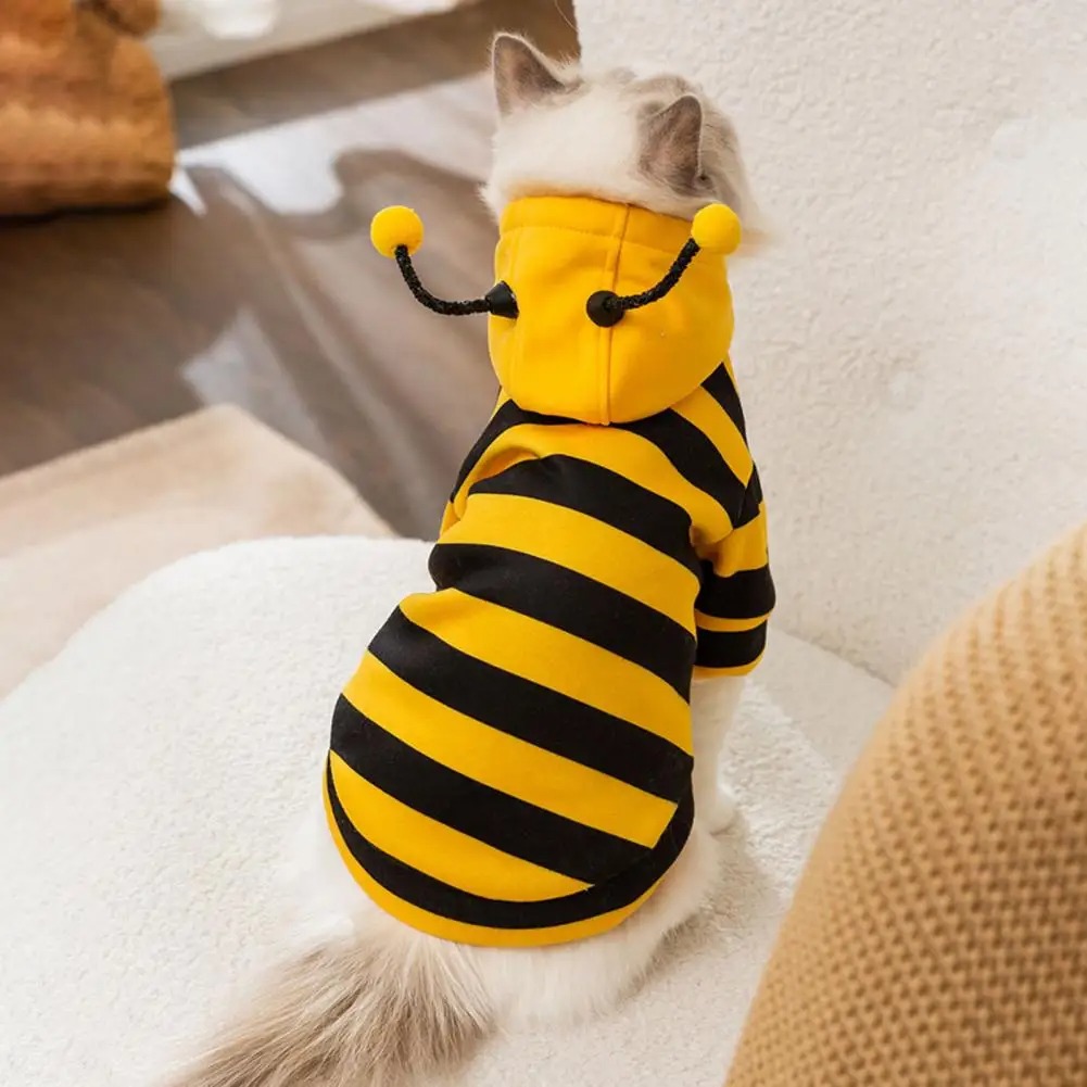 Winter Clothing Accessories - ペット猫服子猫のもの犬アクセサリーペット犬セーター冷却ベストアパレル製品衣類小さな子猫冬