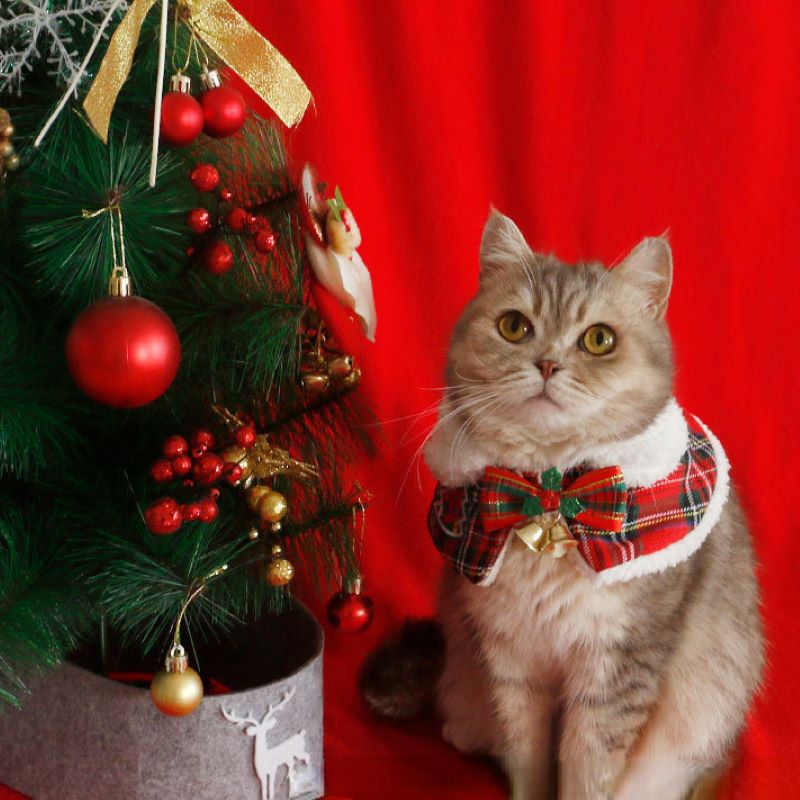 Winter Clothing Accessories - ペットのクリスマスケープ,新年のケープ,ショール,スカーフ,イングリッシュショート,秋冬服,暖かくてかわいいアクセサリー,子猫,犬の首輪